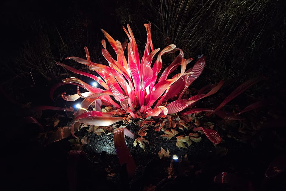 Exposición «Jardín de Cristal» en el Jardín Botánico de Praga | Foto: Štěpánka Budková, Radio Prague International Exposición «Jardín de Cristal» en el Jardín Botánico de Praga | Foto: Štěpánka Budková, Radio Prague International