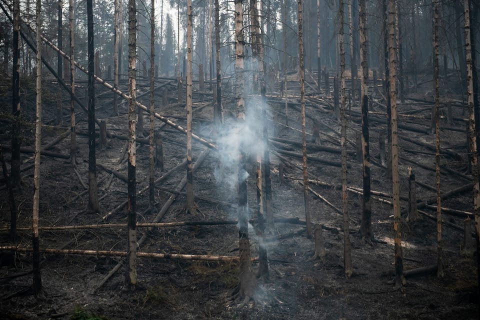 Foto: René Volfík,  Český rozhlas