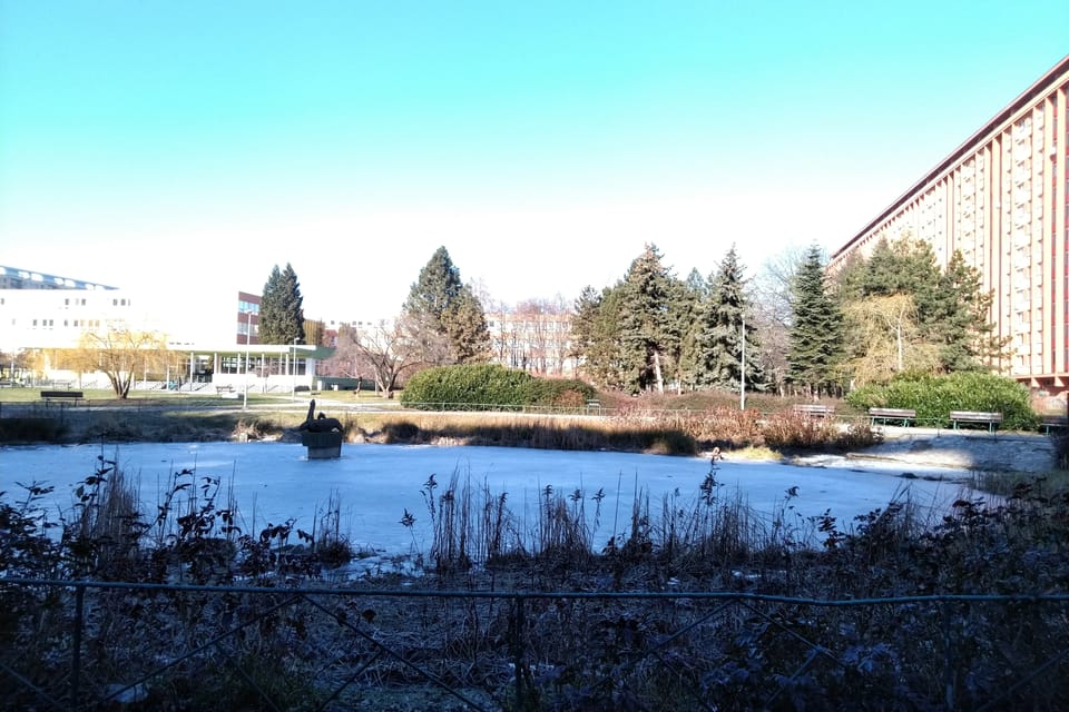 Lago con una estatua de pelícanos, foto: Dominika Bernáthová Lago con una estatua de pelícanos, foto: Dominika Bernáthová