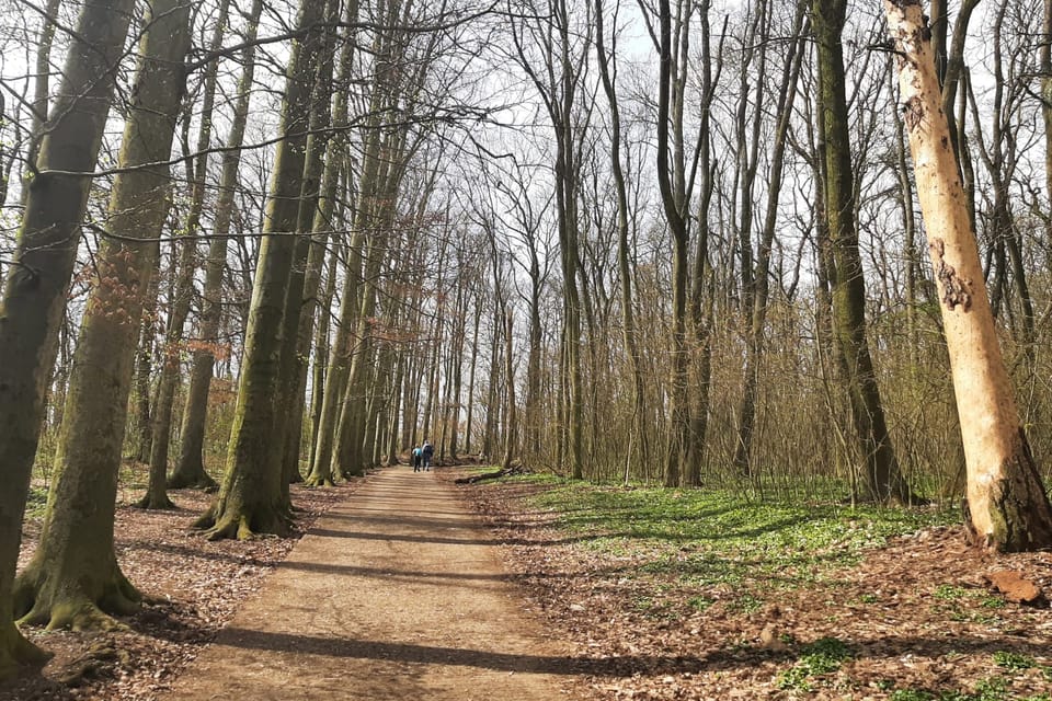 Paseo primaveral por la colina Říp | Foto: Lenka Žižková,  Radio Prague International