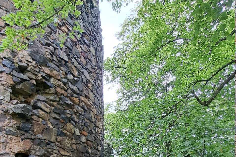 Las ruinas del castillo de Týřov | Foto: Hana Slavická,  Radio Prague International