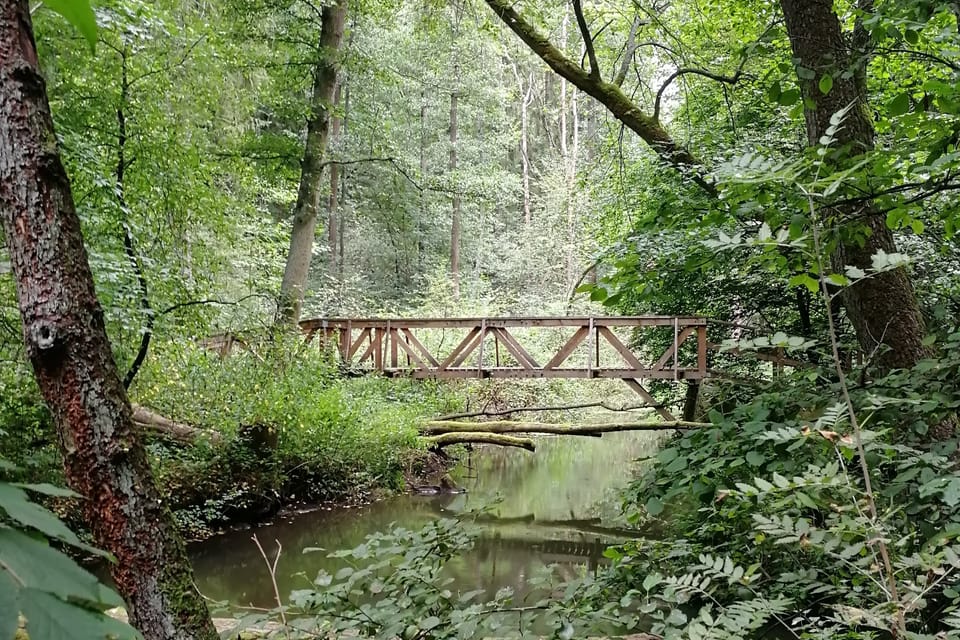 Monumento natural Peklo en Kokořínsko | Foto: Štěpánka Budková, Radio Prague International Monumento natural Peklo en Kokořínsko | Foto: Štěpánka Budková, Radio Prague International