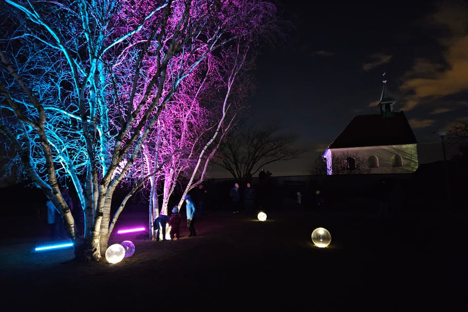 Exposición «Jardín de Cristal» en el Jardín Botánico de Praga | Foto: Štěpánka Budková,  Radio Prague International