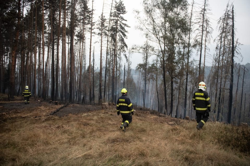 Foto: René Volfík,  Český rozhlas