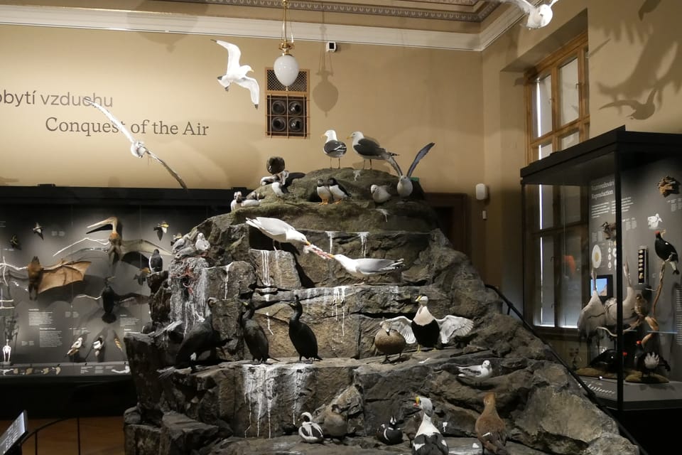 La exposición 'Milagros de la evolución' en el Museo Nacional | Foto: Zoé Samin, Radio Prague International La exposición 'Milagros de la evolución' en el Museo Nacional | Foto: Zoé Samin, Radio Prague International