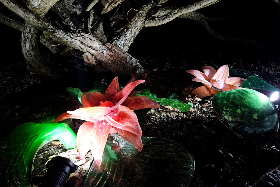 Exposición «Jardín de Cristal» en el Jardín Botánico de Praga | Foto: Štěpánka Budková, Radio Prague International Exposición «Jardín de Cristal» en el Jardín Botánico de Praga | Foto: Štěpánka Budková, Radio Prague International
