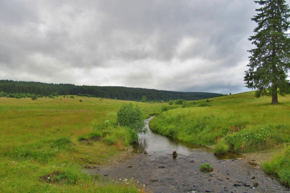 El río Křemelná en el valle Zhůřské | Foto: Pavel Halla, Český rozhlas El río Křemelná en el valle Zhůřské | Foto: Pavel Halla, Český rozhlas