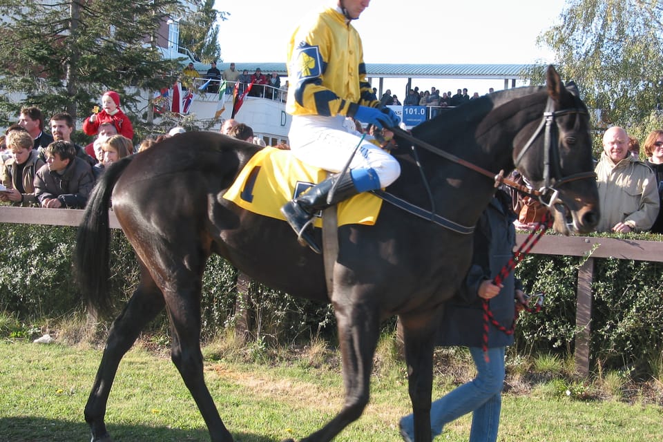 Gran Steeplechase cross-country de Pardubice, Peter Gehm con Registana antes de la carrera, foto: autora Gran Steeplechase cross-country de Pardubice, Peter Gehm con Registana antes de la carrera, foto: autora