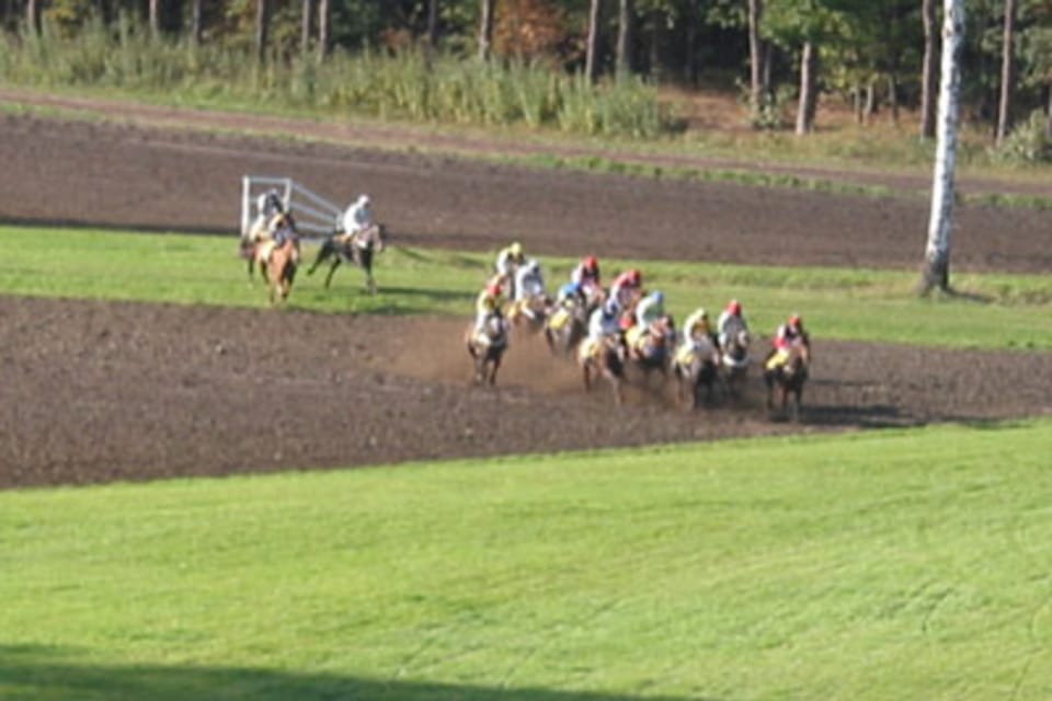 Gran Steeplechase cross-country de Pardubice, foto: autora Gran Steeplechase cross-country de Pardubice, foto: autora