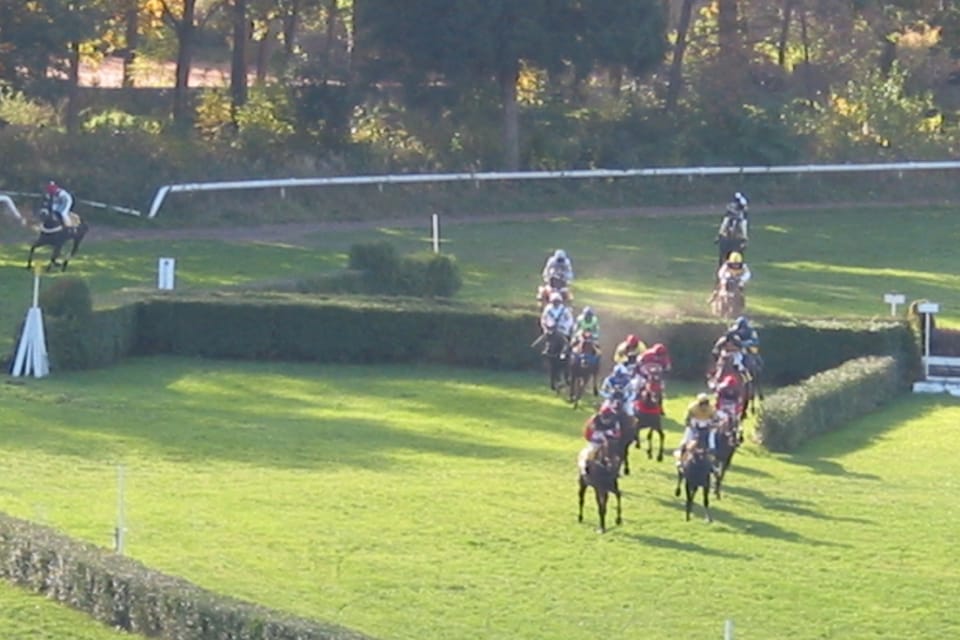 Gran Steeplechase cross-country de Pardubice,  foto: autora