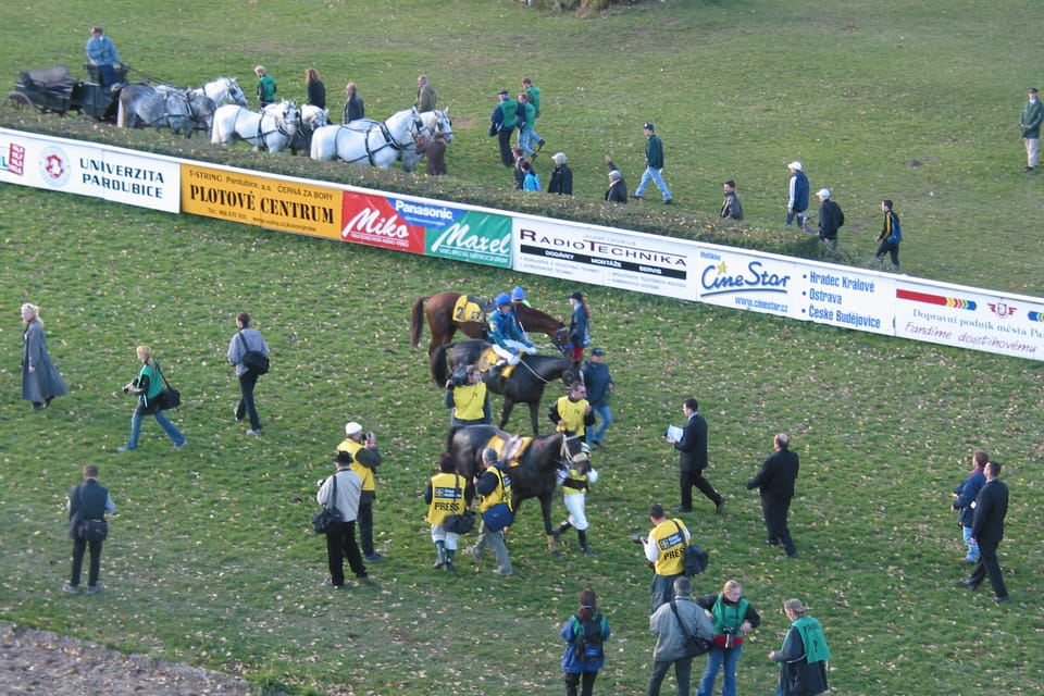 Gran Steeplechase cross-country de Pardubice, fin de la carrera, foto: autora Gran Steeplechase cross-country de Pardubice, fin de la carrera, foto: autora