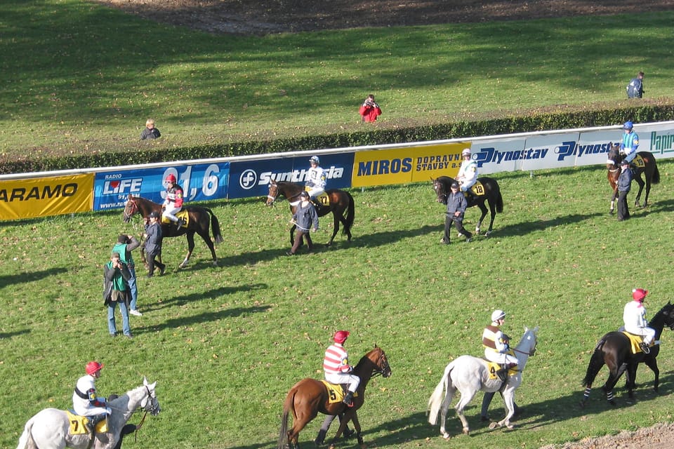 Gran Steeplechase cross-country de Pardubice, foto: autora Gran Steeplechase cross-country de Pardubice, foto: autora